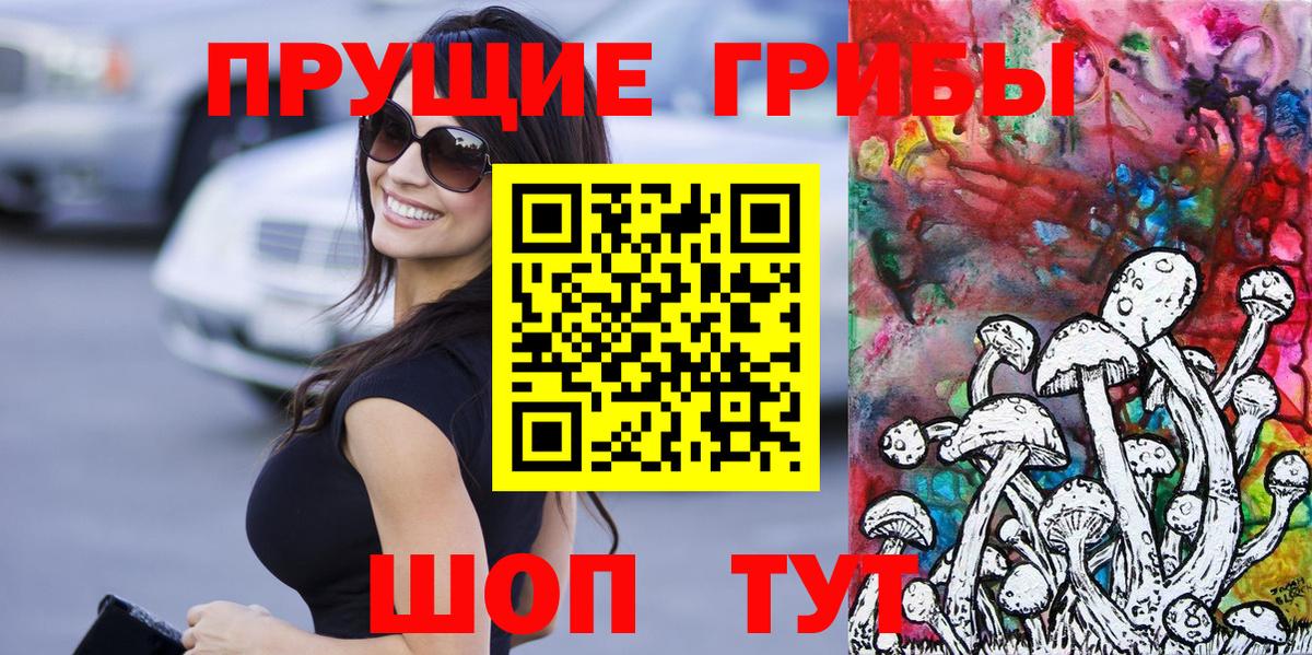 Псилоцибиновые грибы Psilocybine cubensis  Вход с VPN  Костомукша 