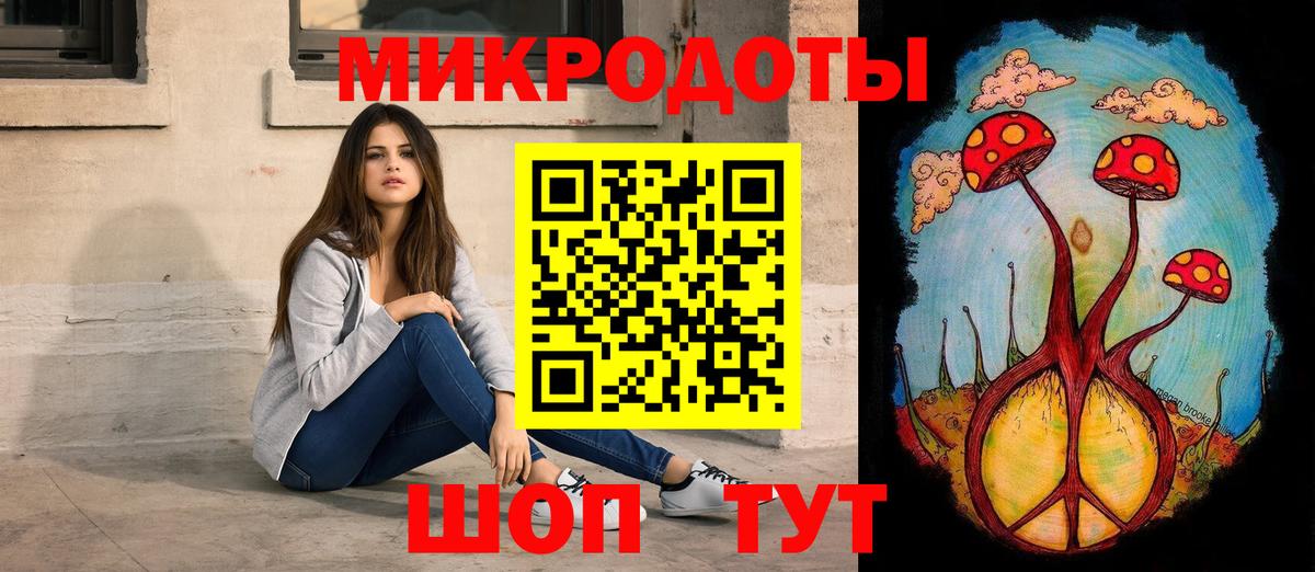 Псилоцибиновые грибы Psilocybe Костомукша